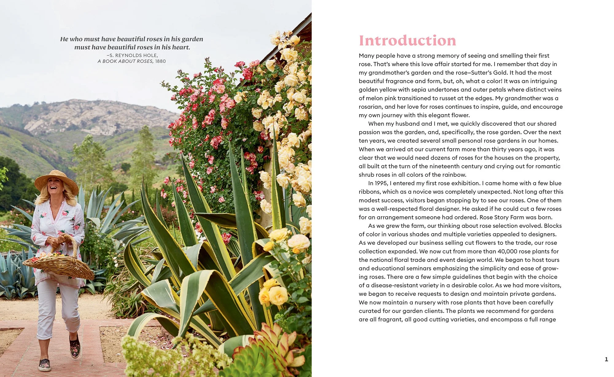 The Color of Roses (signed copy) — Rose Story Farm